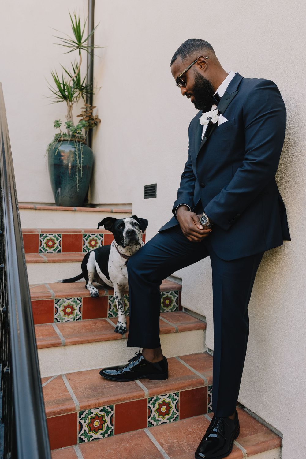 A dapper groom in a navy suit poses on tiled stairs with a black and white bulldog at a wedding.