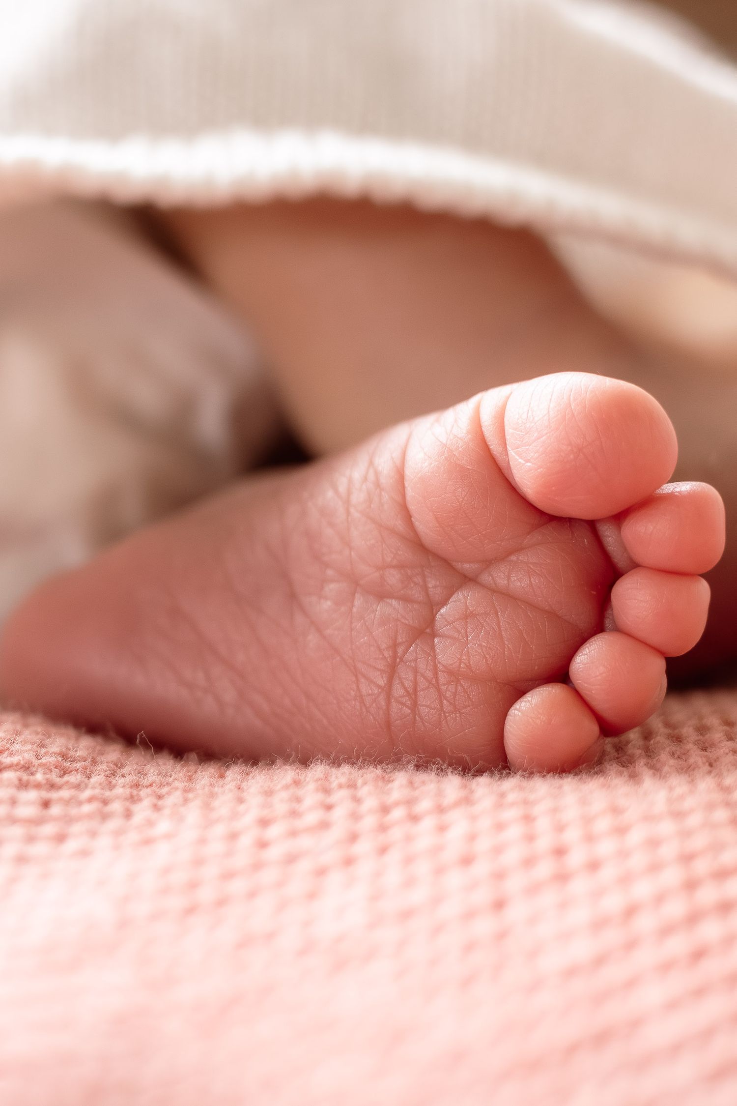 Close-up series of tiny baby feet resting on soft pink textured fabric.