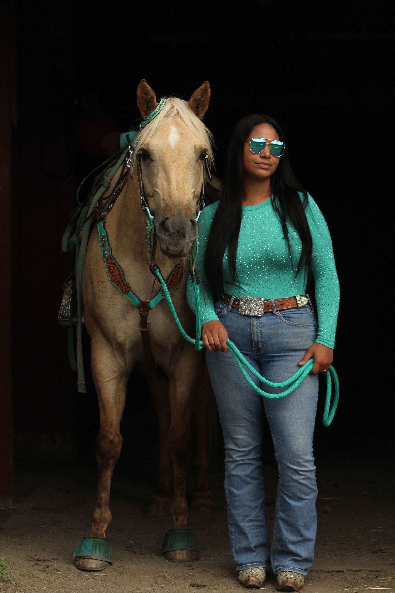 Horse walking
