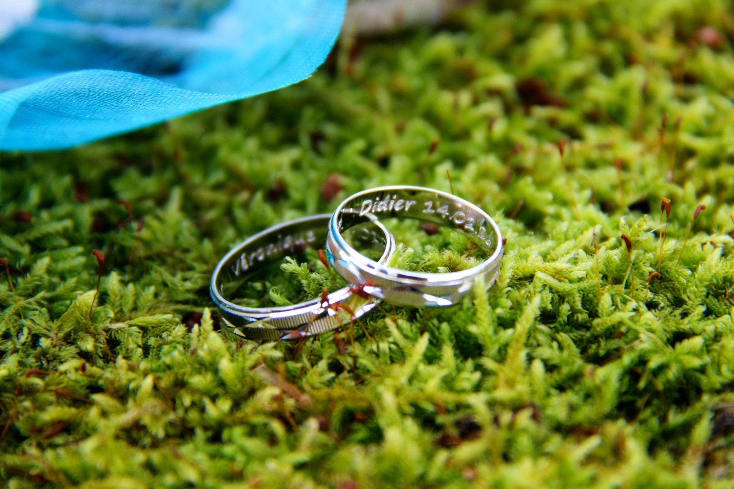 Alliances posées dans la mousse, détail naturel et symbolique de mariage en Hauts-de-France