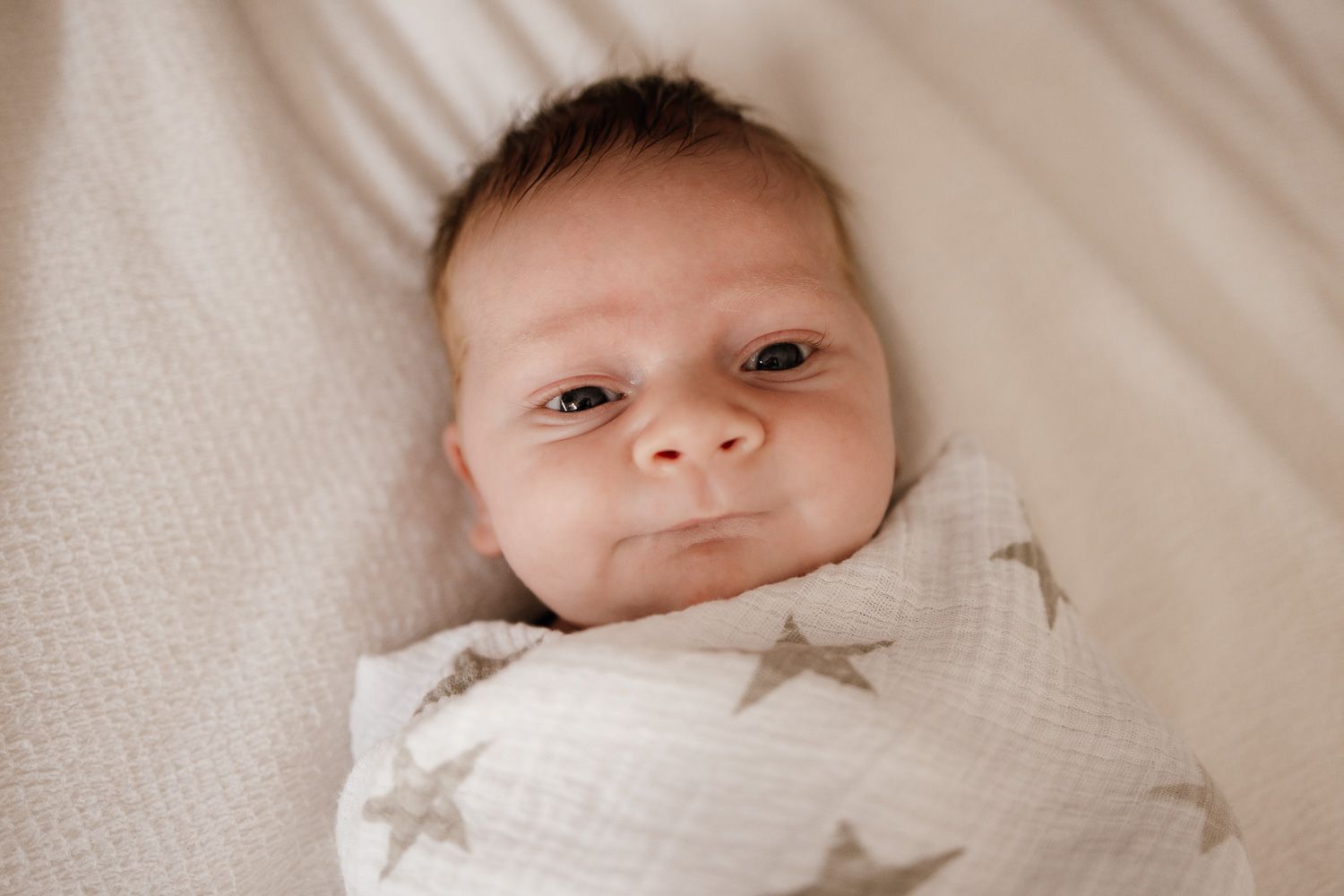 Swaddled baby looks at the camera for his newborn photography session with Bay Area Newborn Photographer Cindy Tucey