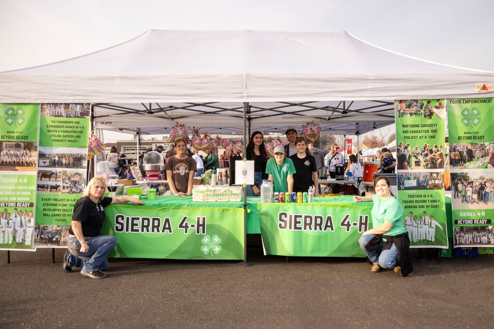 Green and white 4-H club banners and tents displayed at an outdoor community event with vendor booths and displays.