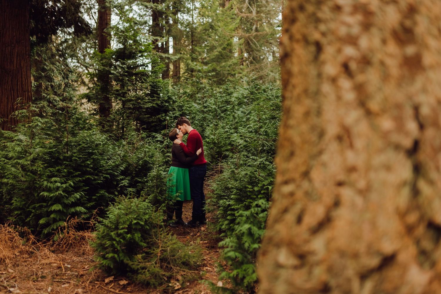 Winter engagement session in the New Forest among Christmas trees, cosy couple photography in Hampshire