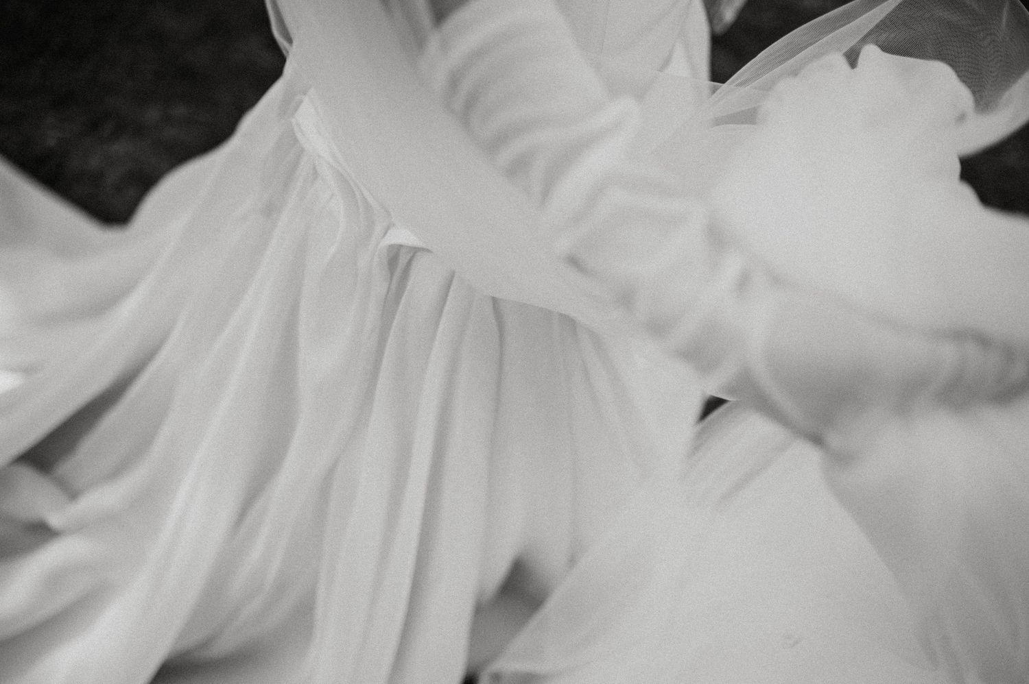 A close-up view of delicate white flower petals with soft focus creating an ethereal abstract pattern.