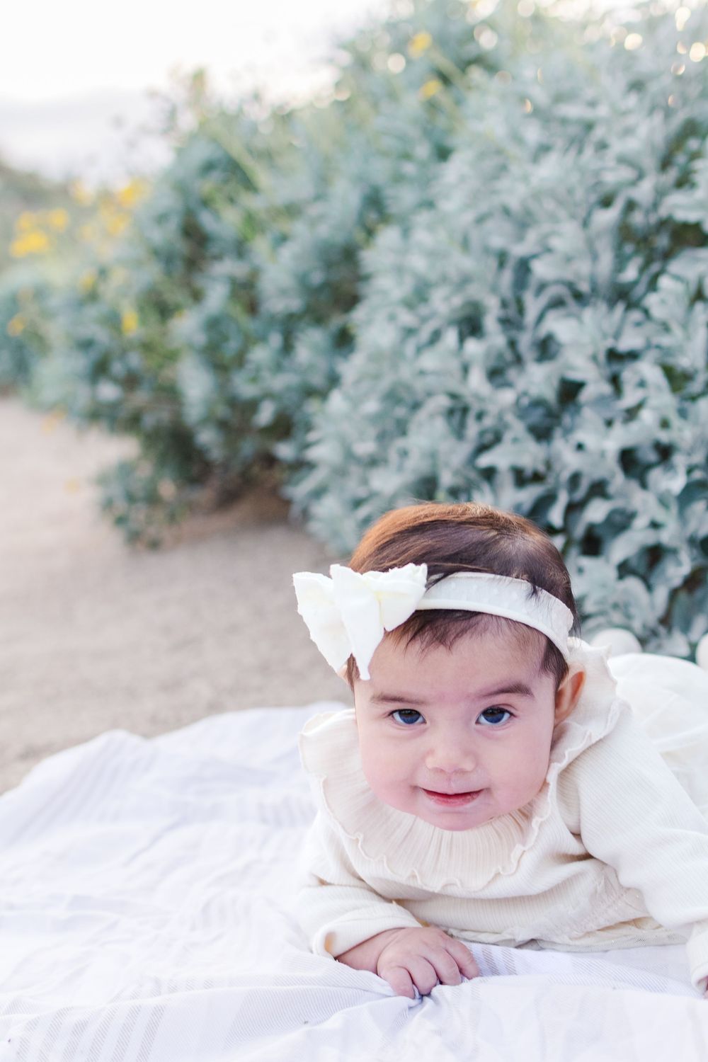 Light and airy portrait of an infant girl lying on a white blanket on her belly smiling in front of desert brush in Usery Regional Park.