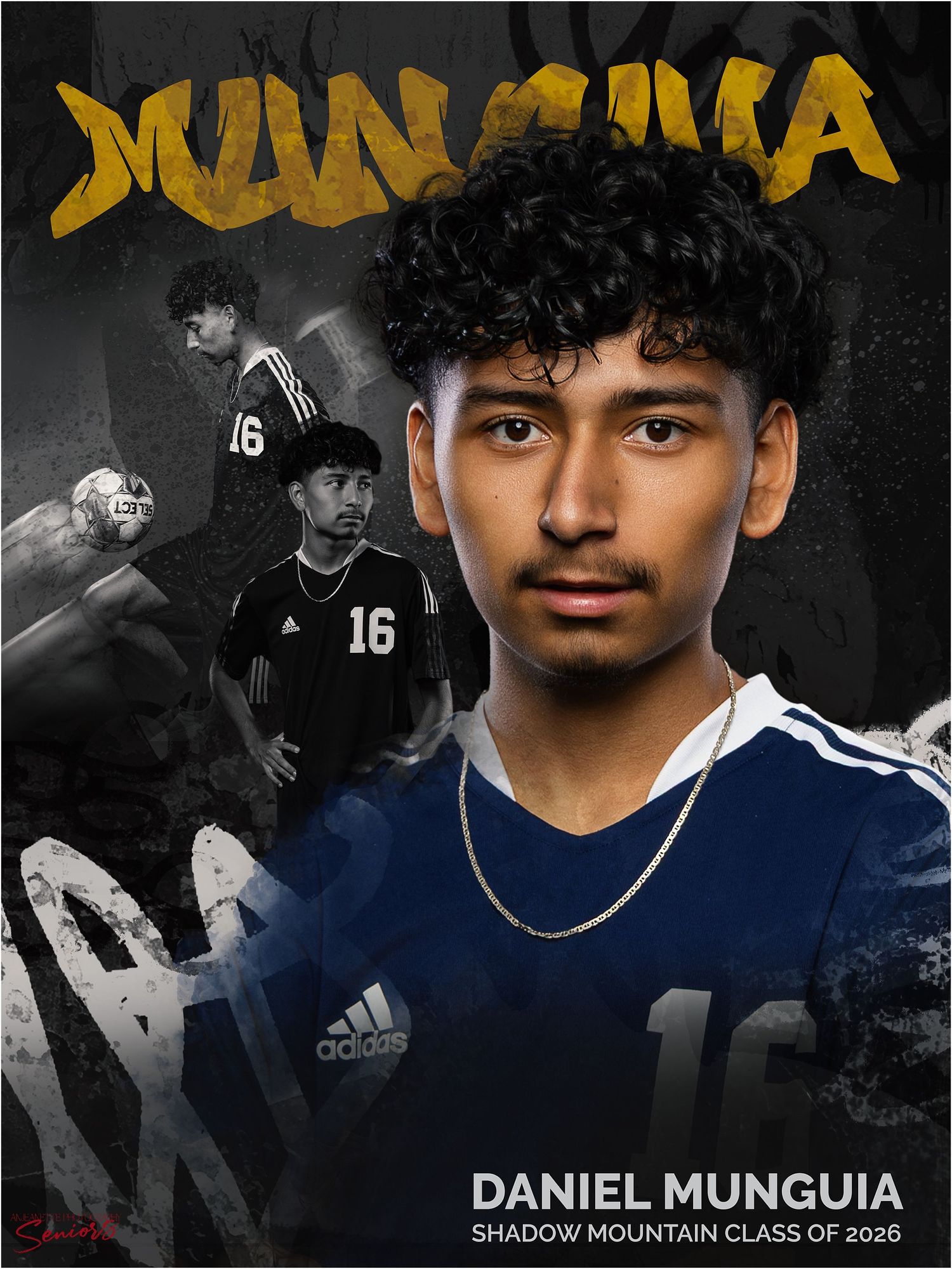 Team Banner Pictures by Anjeanette Photography Graduation High School Seniors AZ Sports  Phoenix Arizona