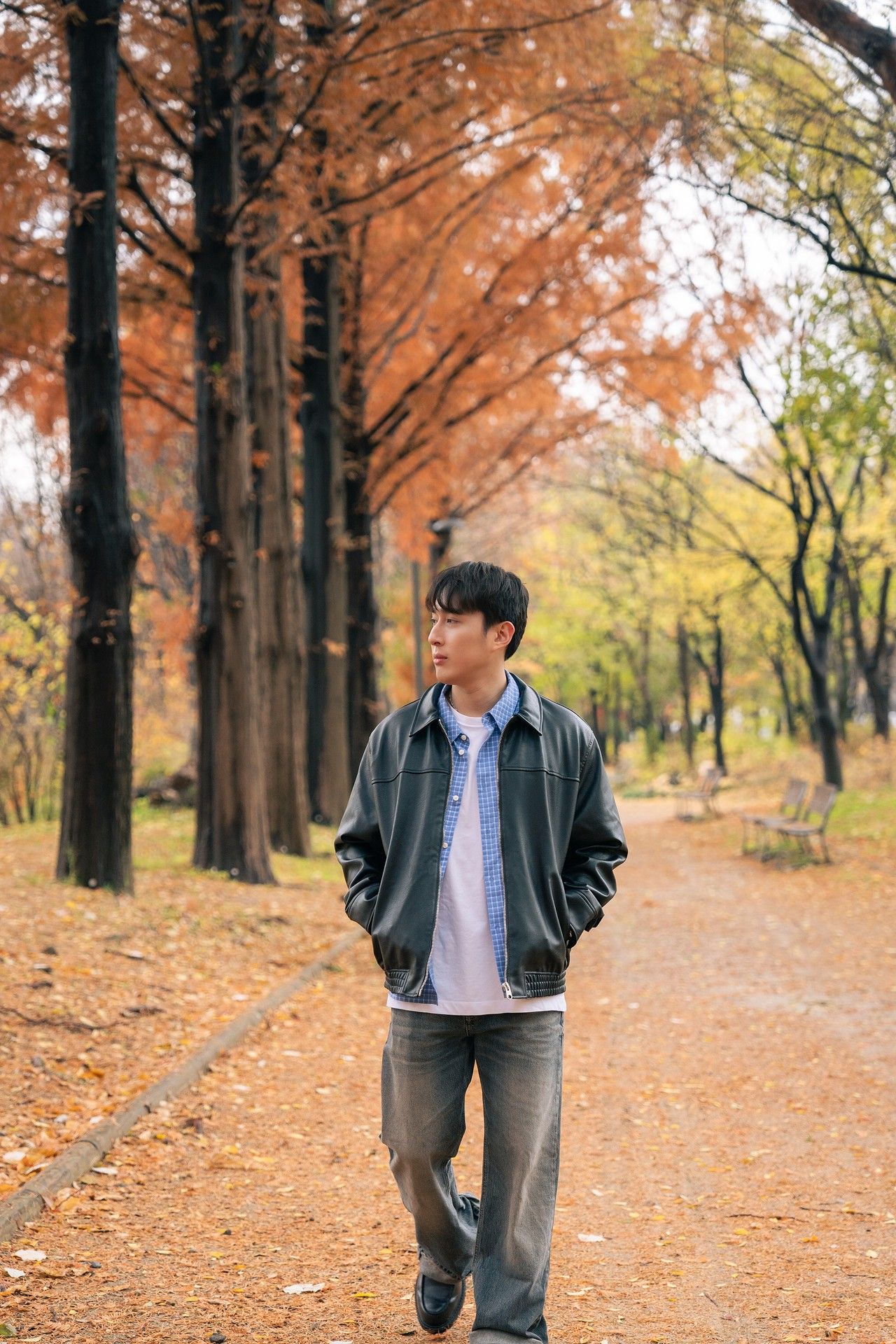 Person walking through autumn park with orange fallen leaves and tall trees creating scenic pathway.