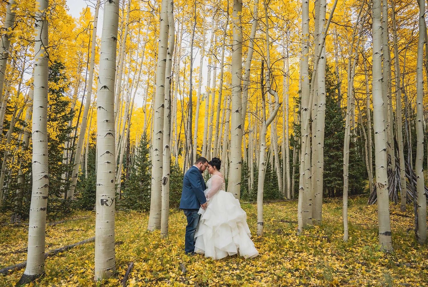 A couple stands among tall golden aspen trees during autumn in a romantic forest setting.