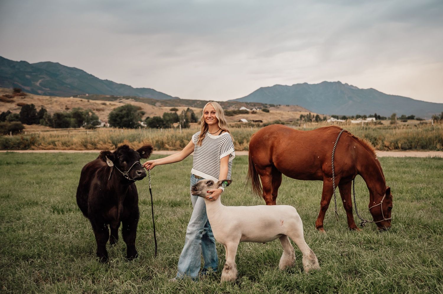 Scenic landscape with horses grazing in mountain pasture at sunset.