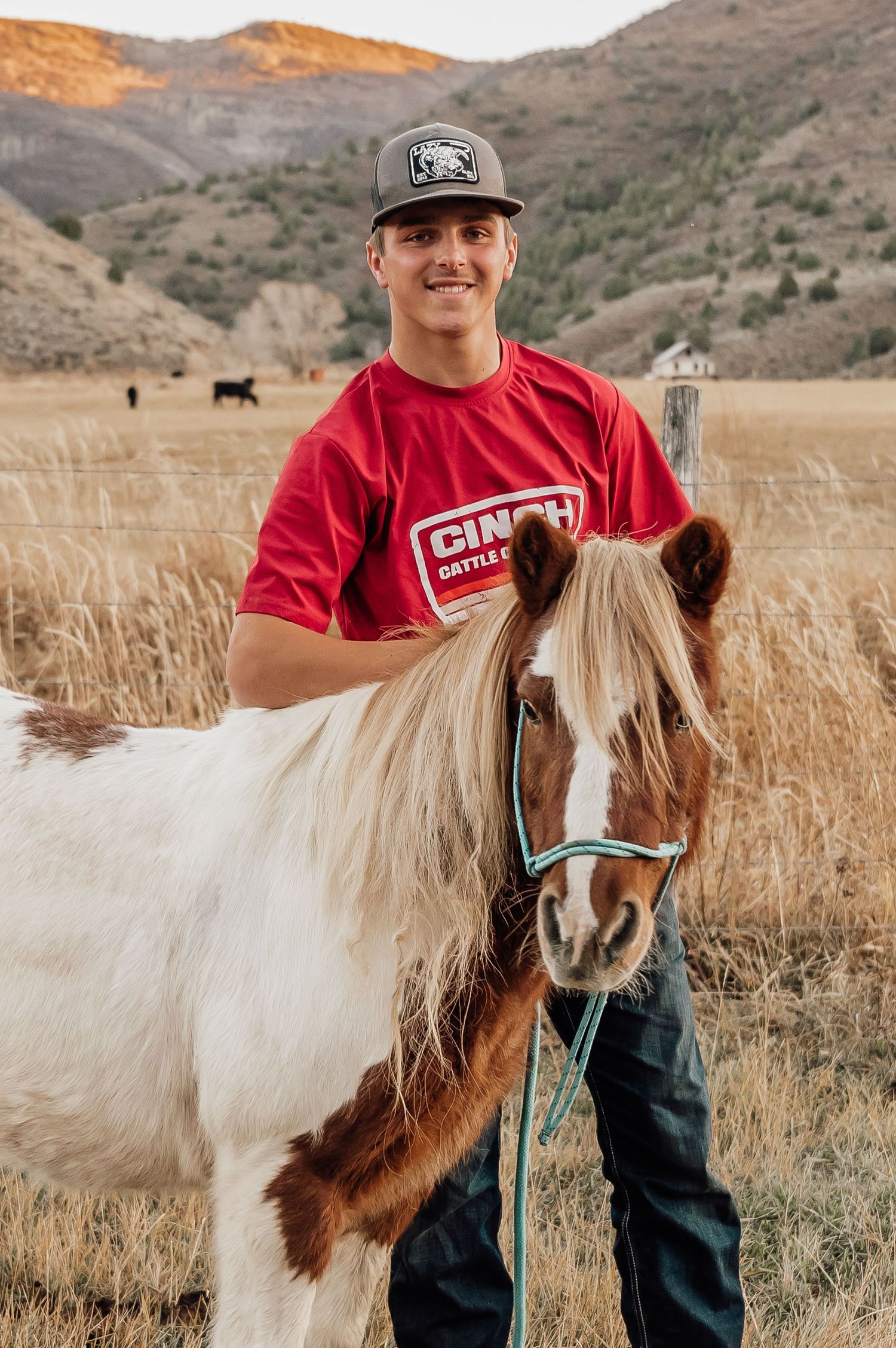 A cream-colored horse with flowing mane poses in front of golden hills at sunset.