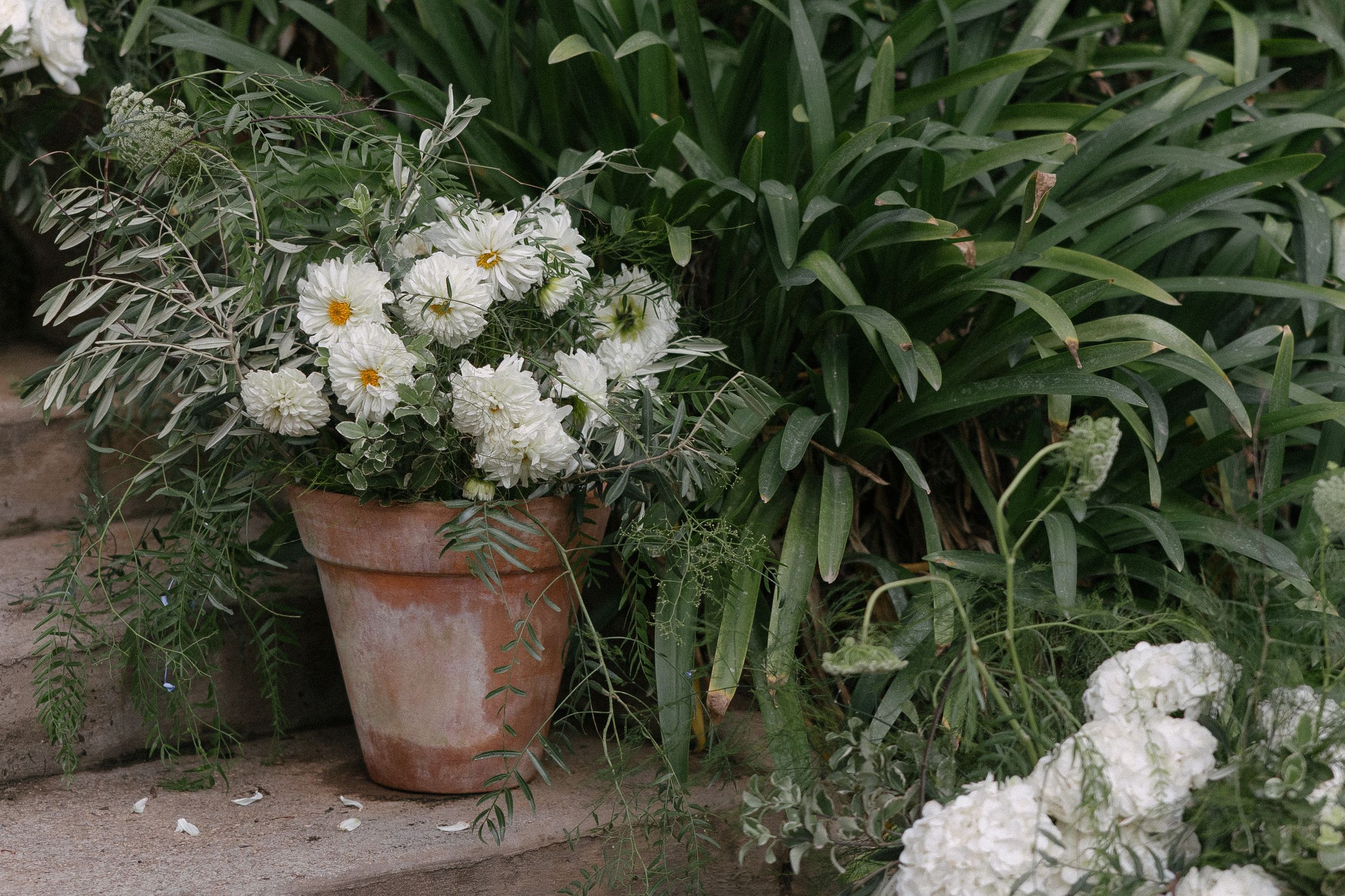 Documentary and Portrait wedding photographer, Christene de Coning Photography at Langskuur a Perfect Hideaways venue.