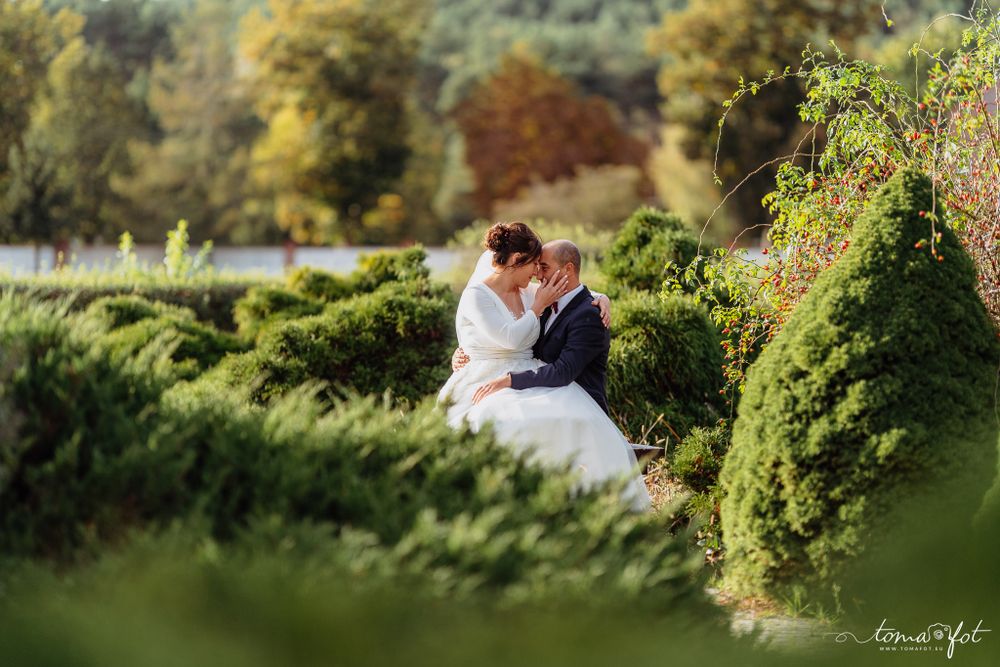 A romantic wedding portrait of a couple nestled among lush green garden hedges on a sunny autumn day.