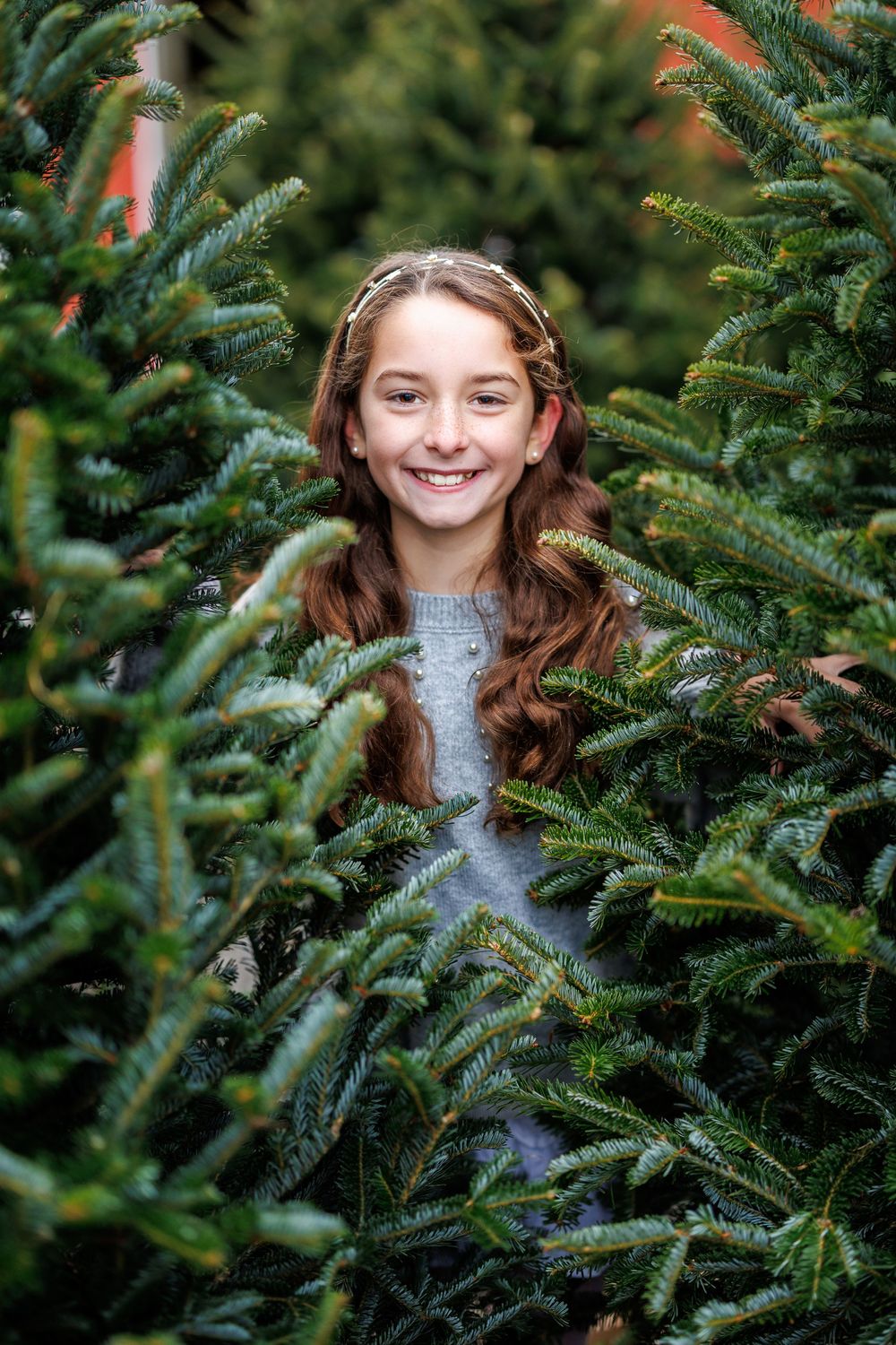 A child peeks through evergreen branches at a Christmas tree farm.