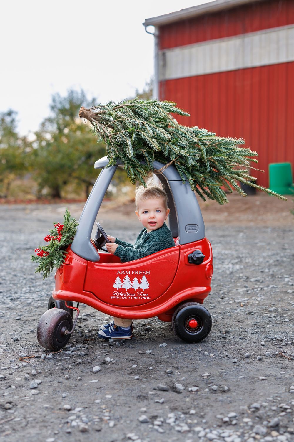 A toy car carries a fresh Christmas tree in front of a red barn.