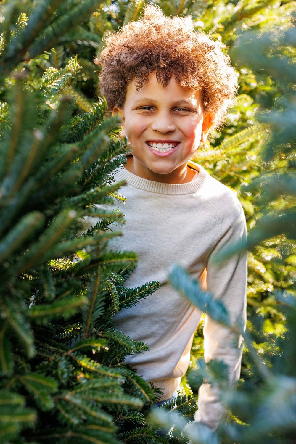 Child peeking through evergreen branches in outdoor holiday setting.