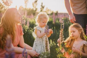 Lupine Wildflower field photography session in Tacoma Washington Spring family photographer