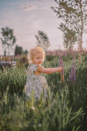 Daughter in the flowers at her Lupine Wildflower field photography session in Tacoma Washington Spring family photographer
