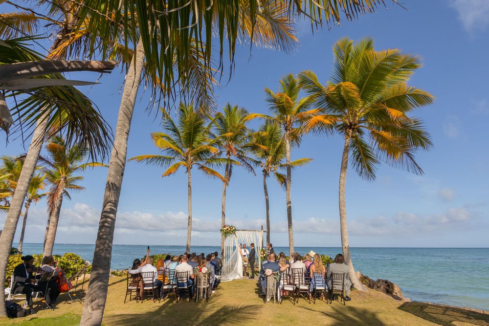 Tropical beach resort setting with palm trees swaying over lounge chairs along the ocean shore at sunset.