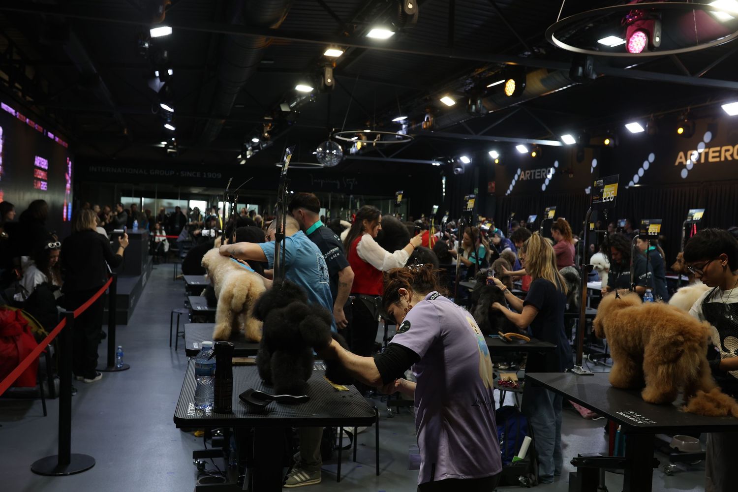 Ambiente de exposición canina con perros y propietarios. Fotografía de eventos y mascotas en Barcelona por Daniel Giménez.