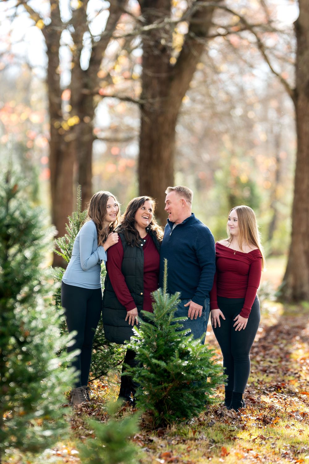 Family of four laughing together among Christmas trees in a beautiful autumn tree farm setting.