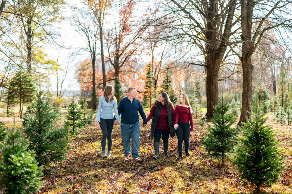 Family of four walking hand-in-hand through a Christmas tree farm in fall season.