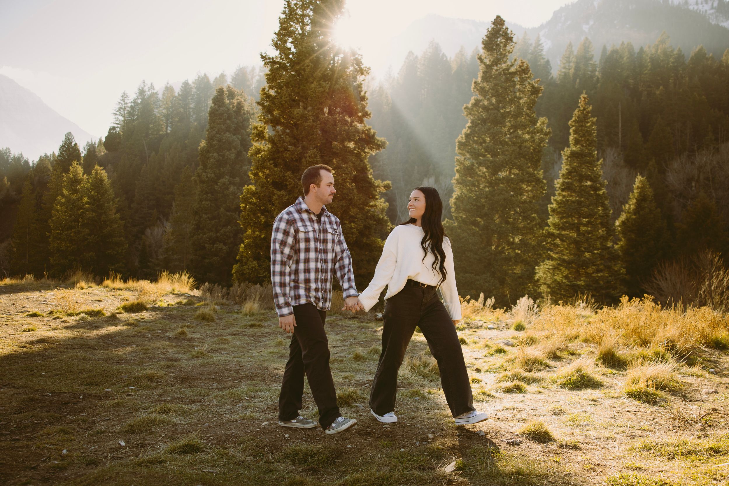 Couple holding hands walking in a sunlit mountain meadow surrounded by tall pine trees during golden hour.
