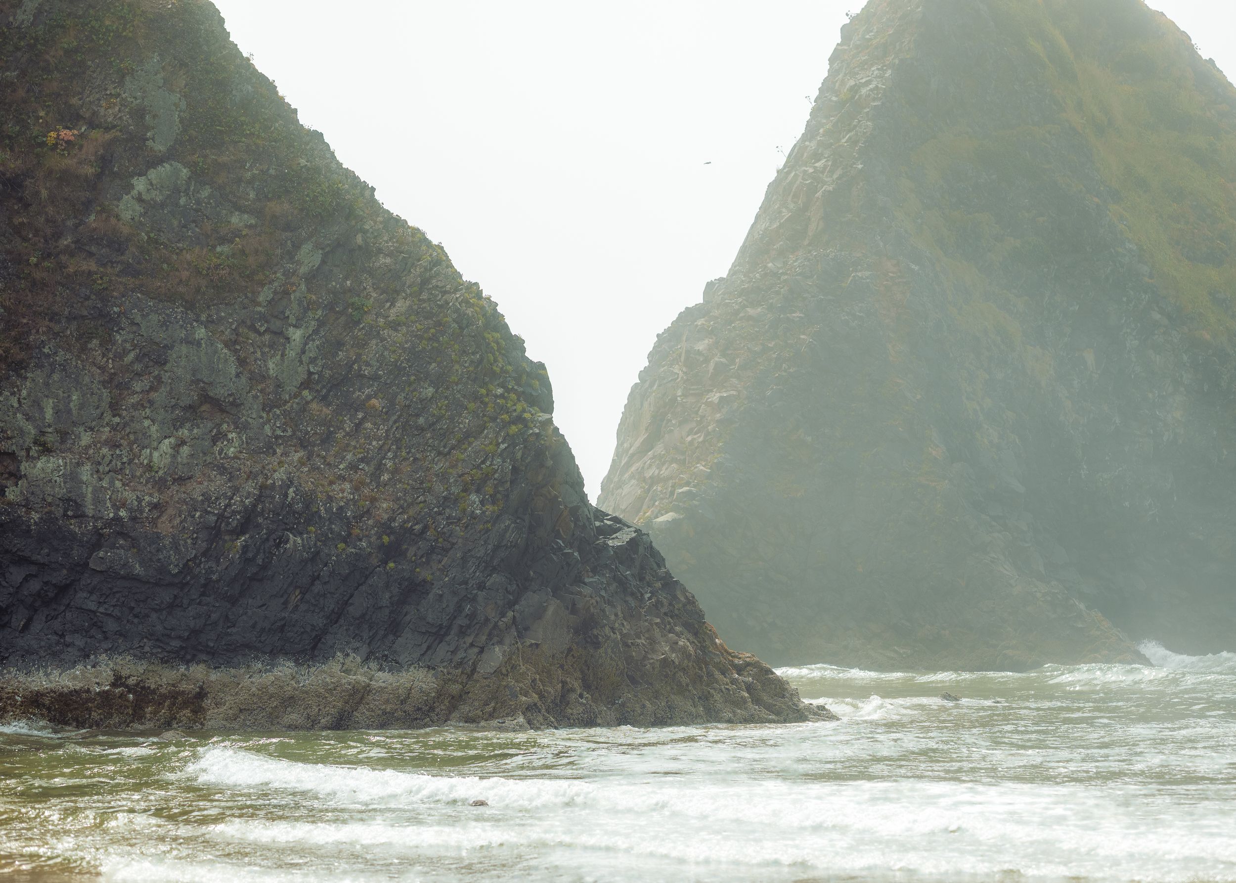 Dramatic rocky coastline with rugged cliffs and crashing waves along the Pacific Ocean on a misty day.