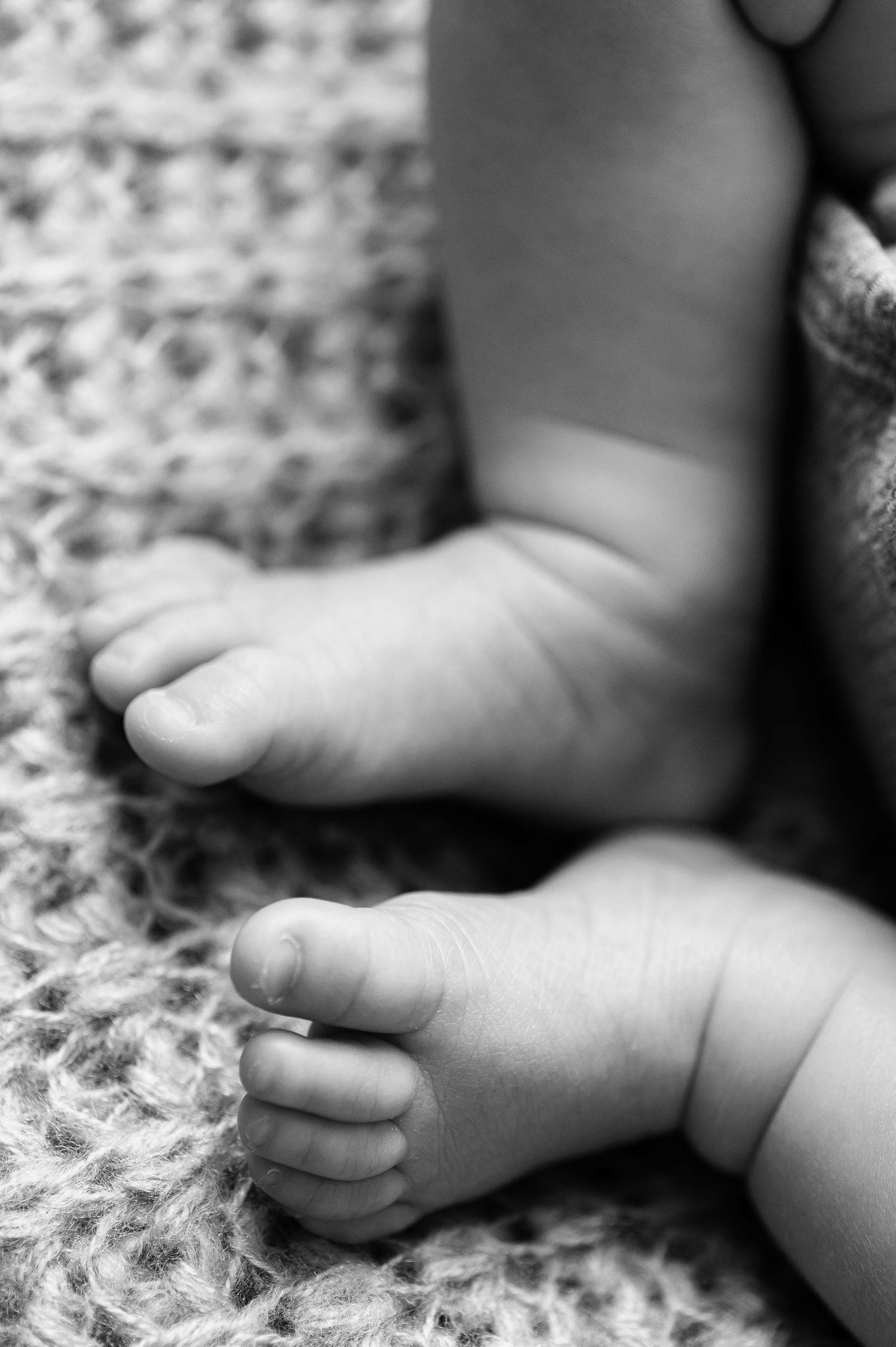 Gros plan des pieds de bébé lors d'une séance photo en Alsace