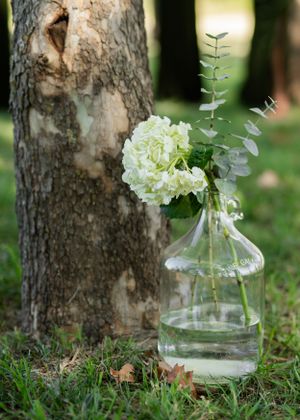 White carnations in clear glass vases sit on grass against tree trunks in an outdoor garden setting.