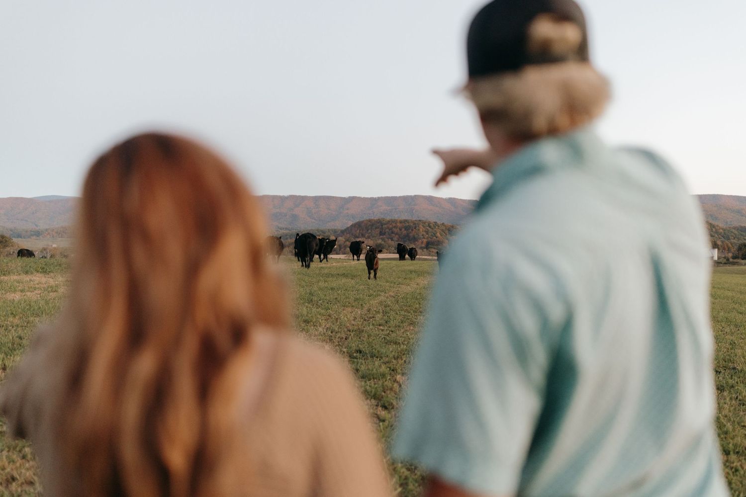 A couple stands in silhouette looking out at a herd of buffalo grazing in a vast grassland field.