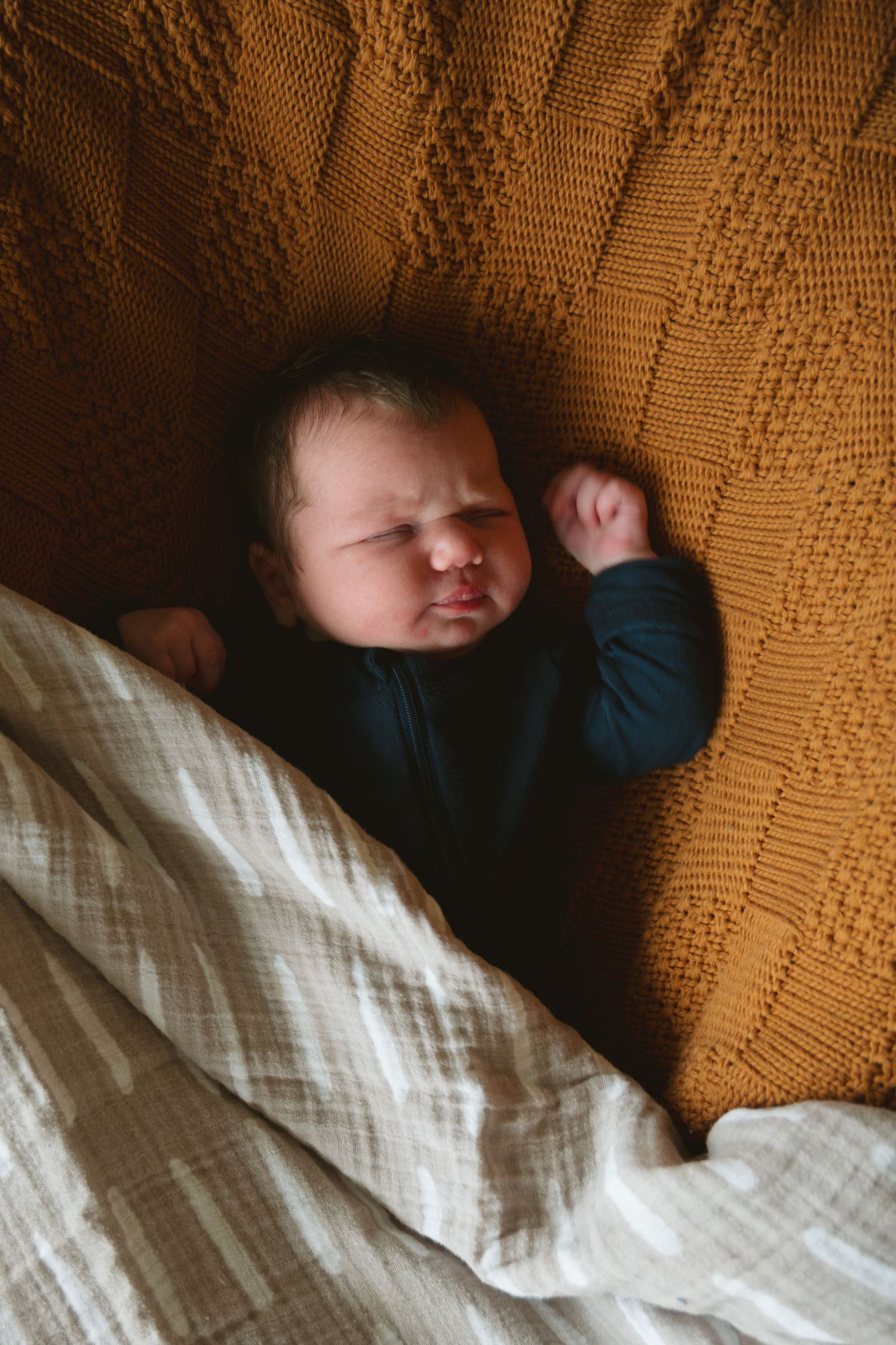 newborn portrait snuggled up in blankets