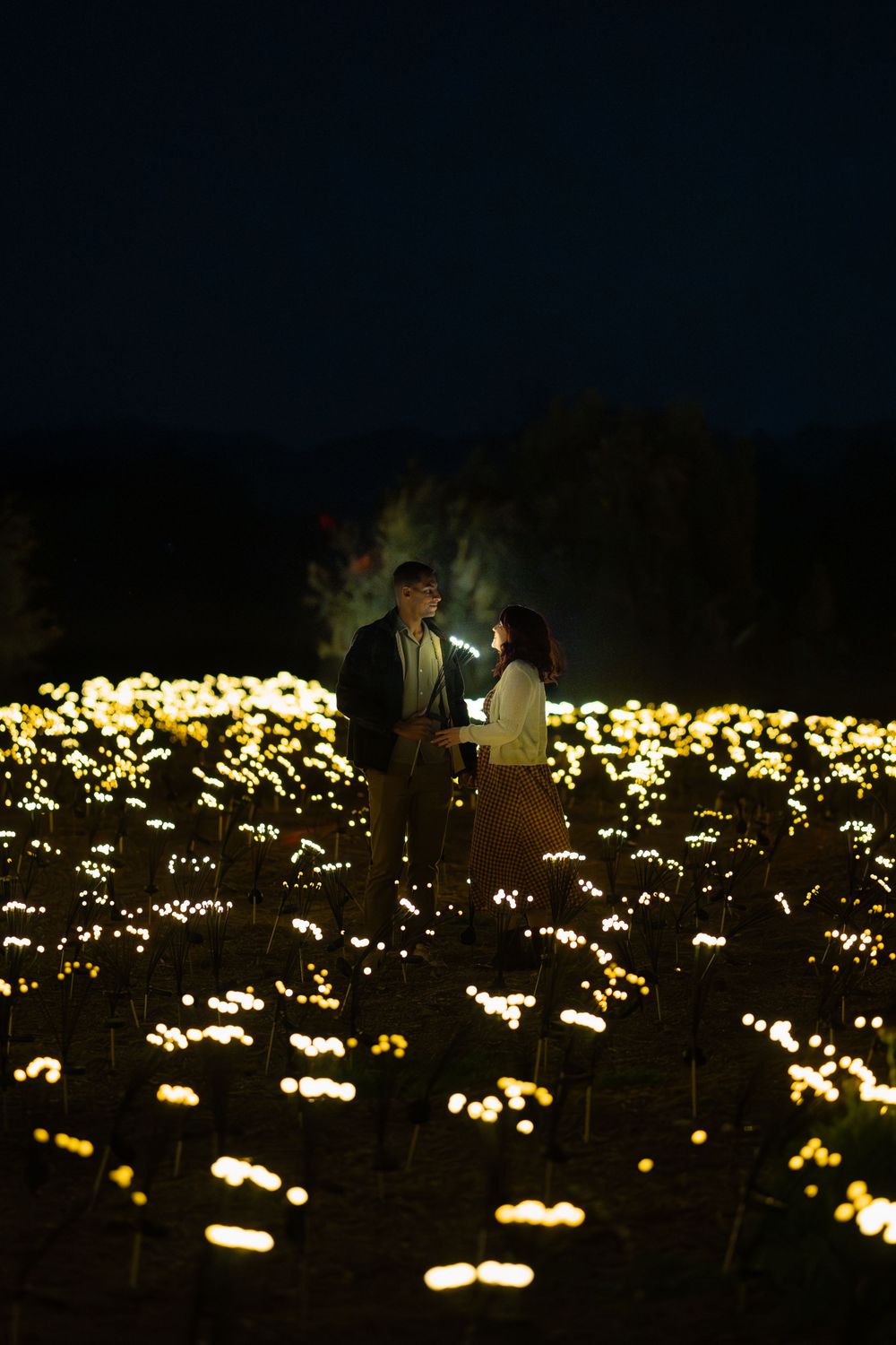 A nighttime field illuminated with hundreds of glowing lights creating a magical garden atmosphere.