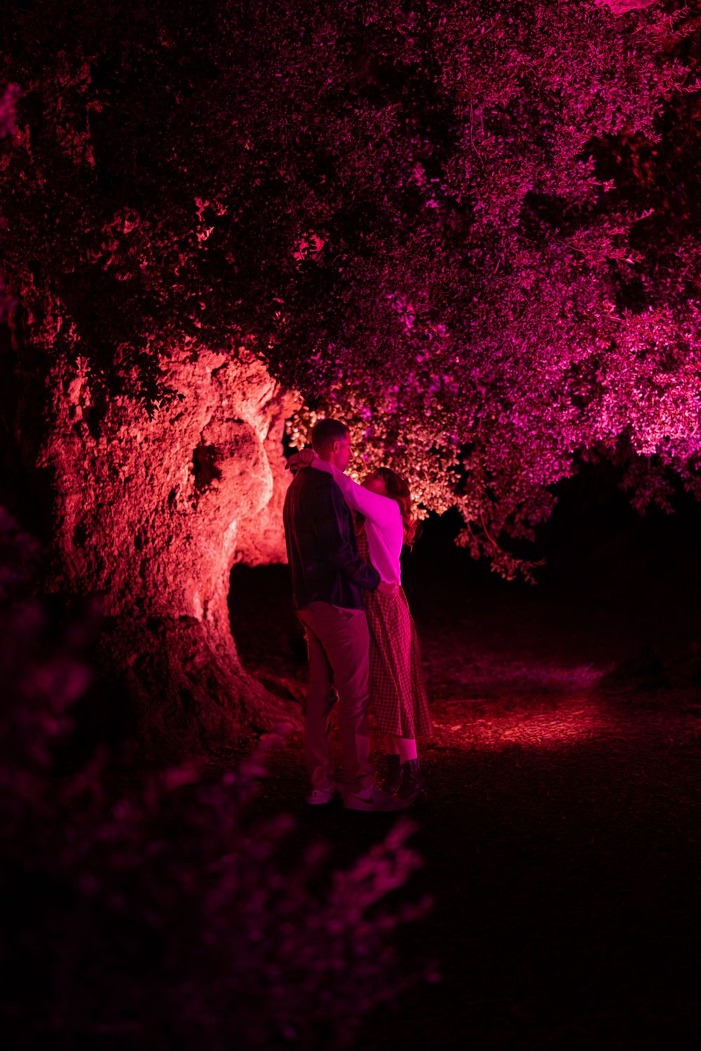 A dark nighttime scene illuminated with dramatic pink and red lighting casting shadows among trees and foliage.