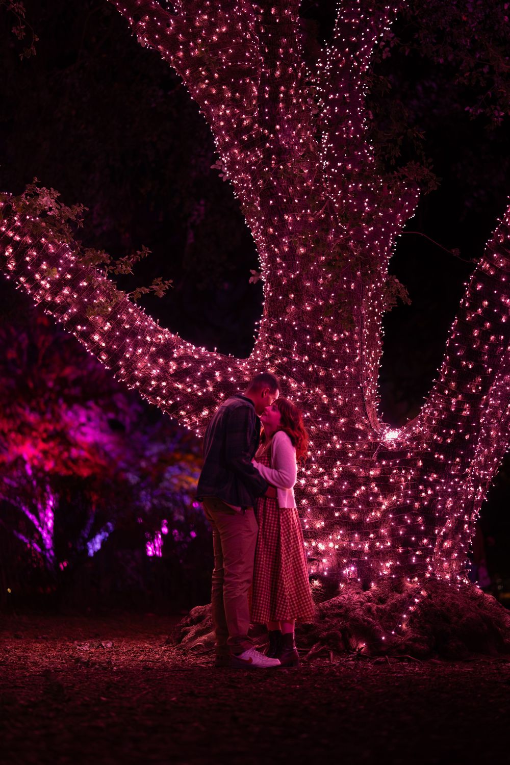 Silhouettes of people standing under illuminated pink cherry blossom trees at night creating a magical atmosphere.