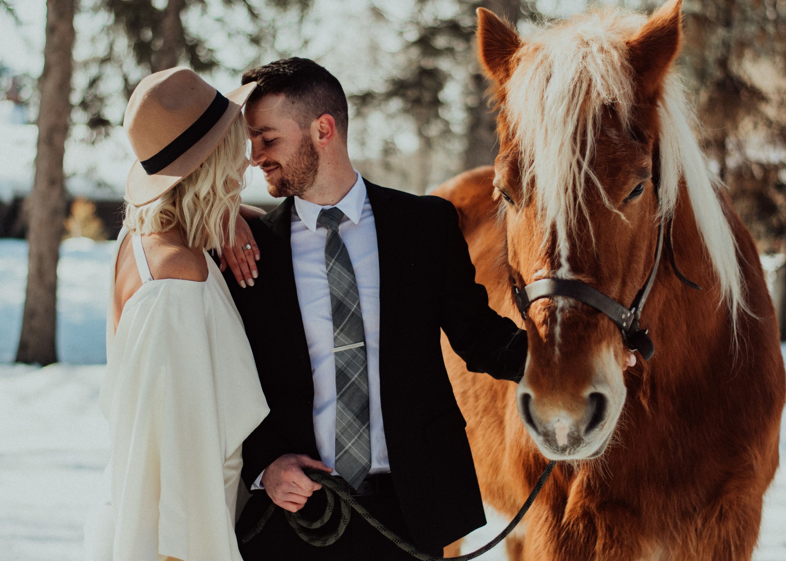 elopement with horse farm elopement minnesota winter