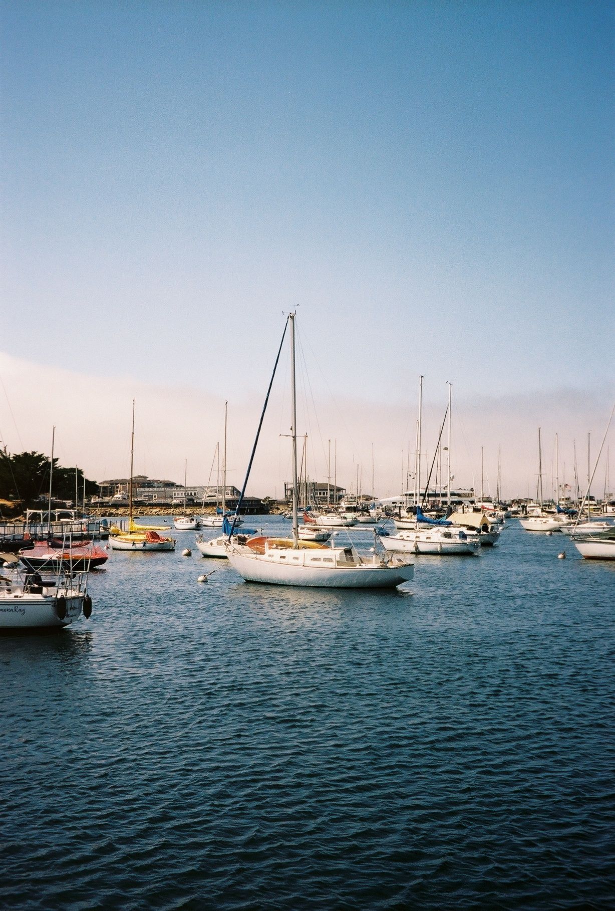 Sailboats and yachts docked in a marina on calm blue waters under clear skies.