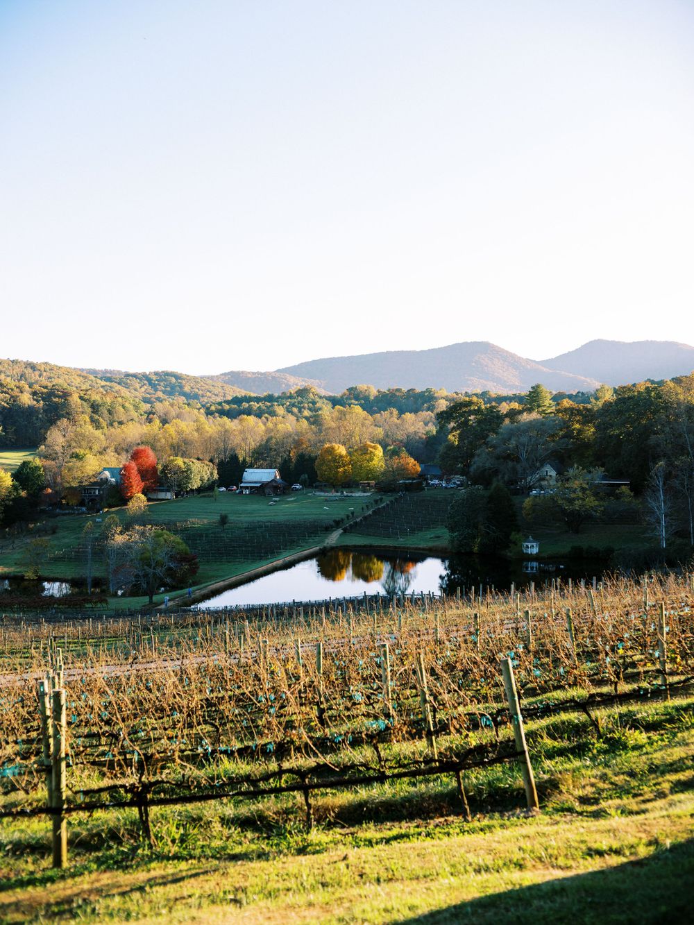 Bride and groom pose on dirt road with vineyard and mountains in background.