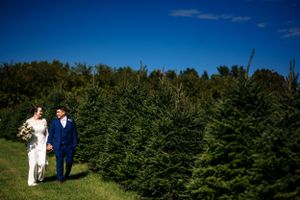 Bride and groom walk hand in hand through a lush Christmas tree farm under a blue sky.