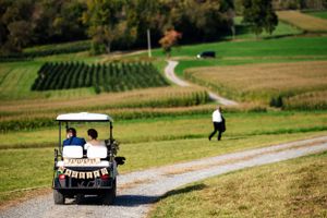 Couple riding a golf cart down a scenic farm path on their wedding day.