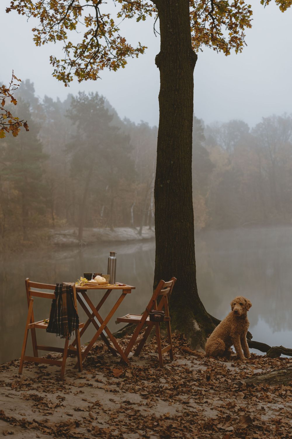 Cozy lakeside setup with wooden table, chairs and dog beneath autumn tree.