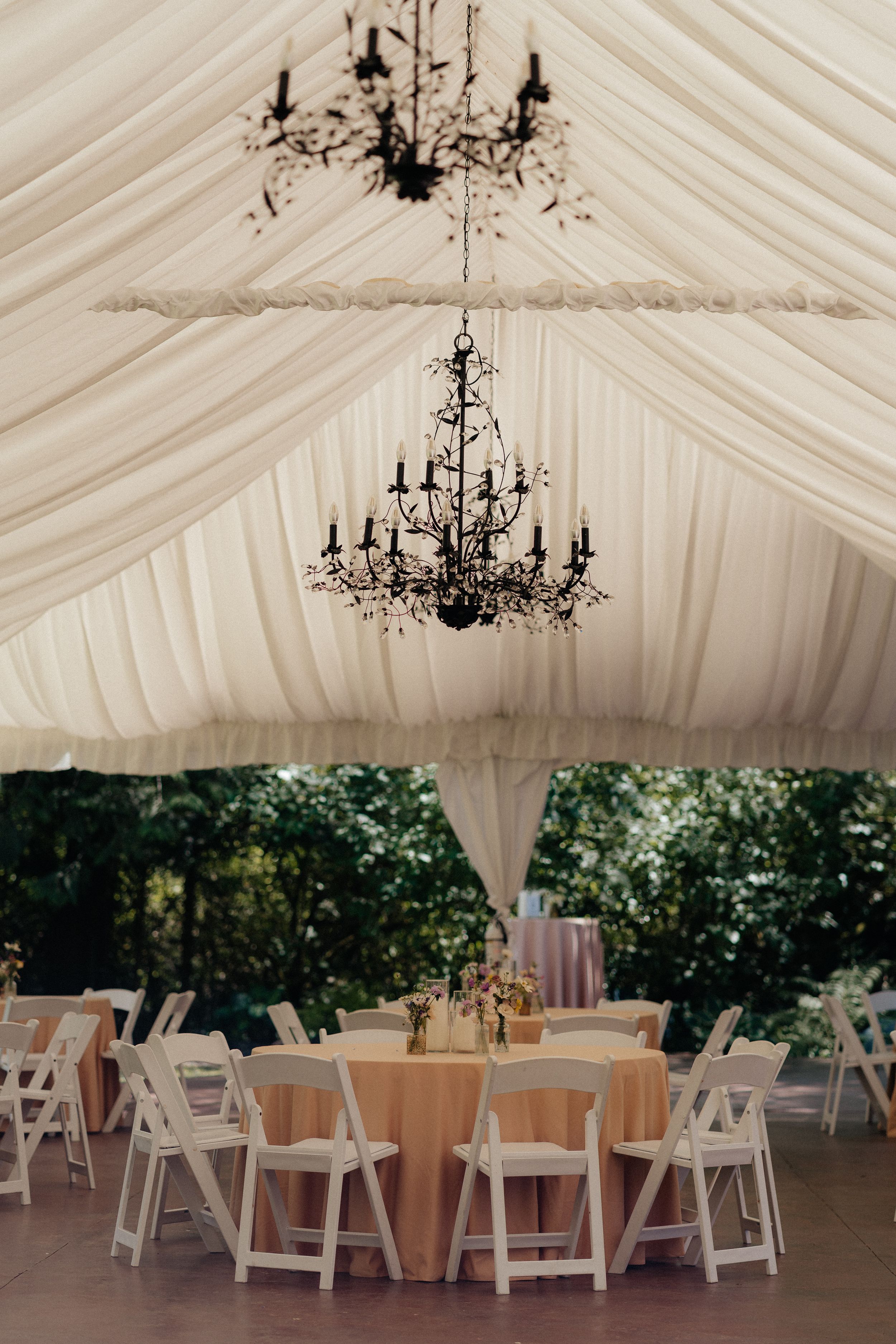 Elegant wedding reception tent with draped white fabric ceiling, black chandeliers, and peach round tables.