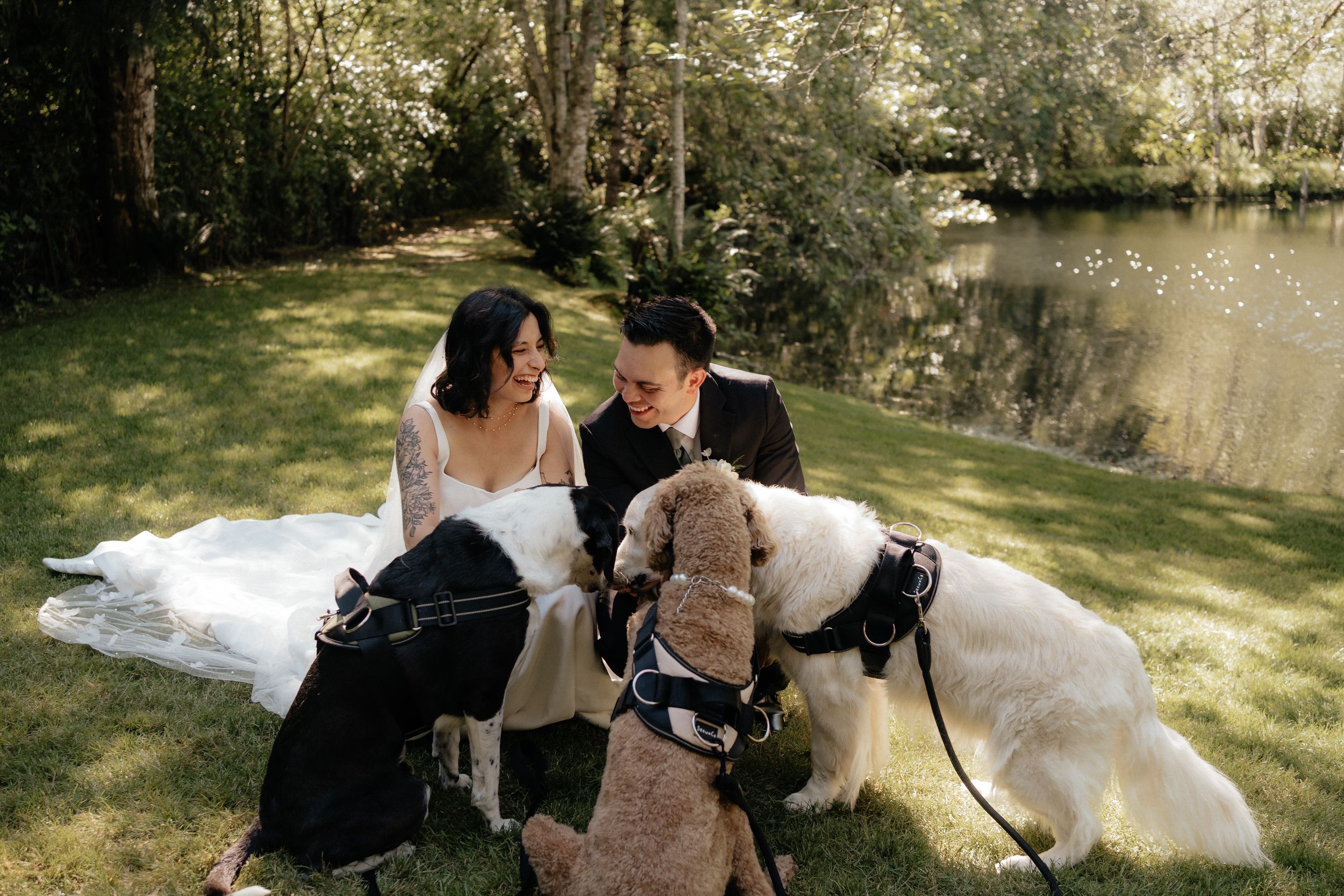 Bride and groom sitting on grass with their three dogs near a scenic pond.