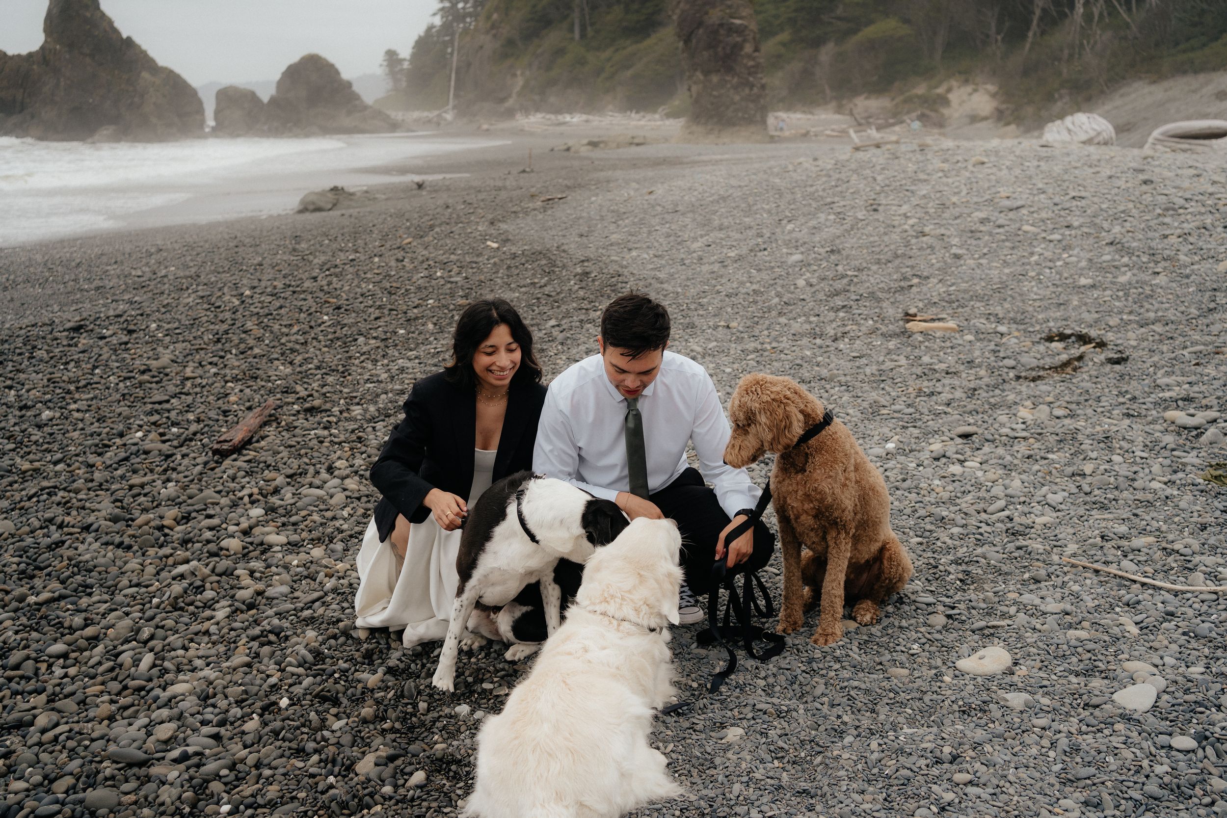 Couple crouching on rocky beach with two dogs, sea stacks visible in misty background.