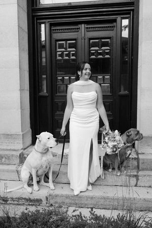 bride with dogs