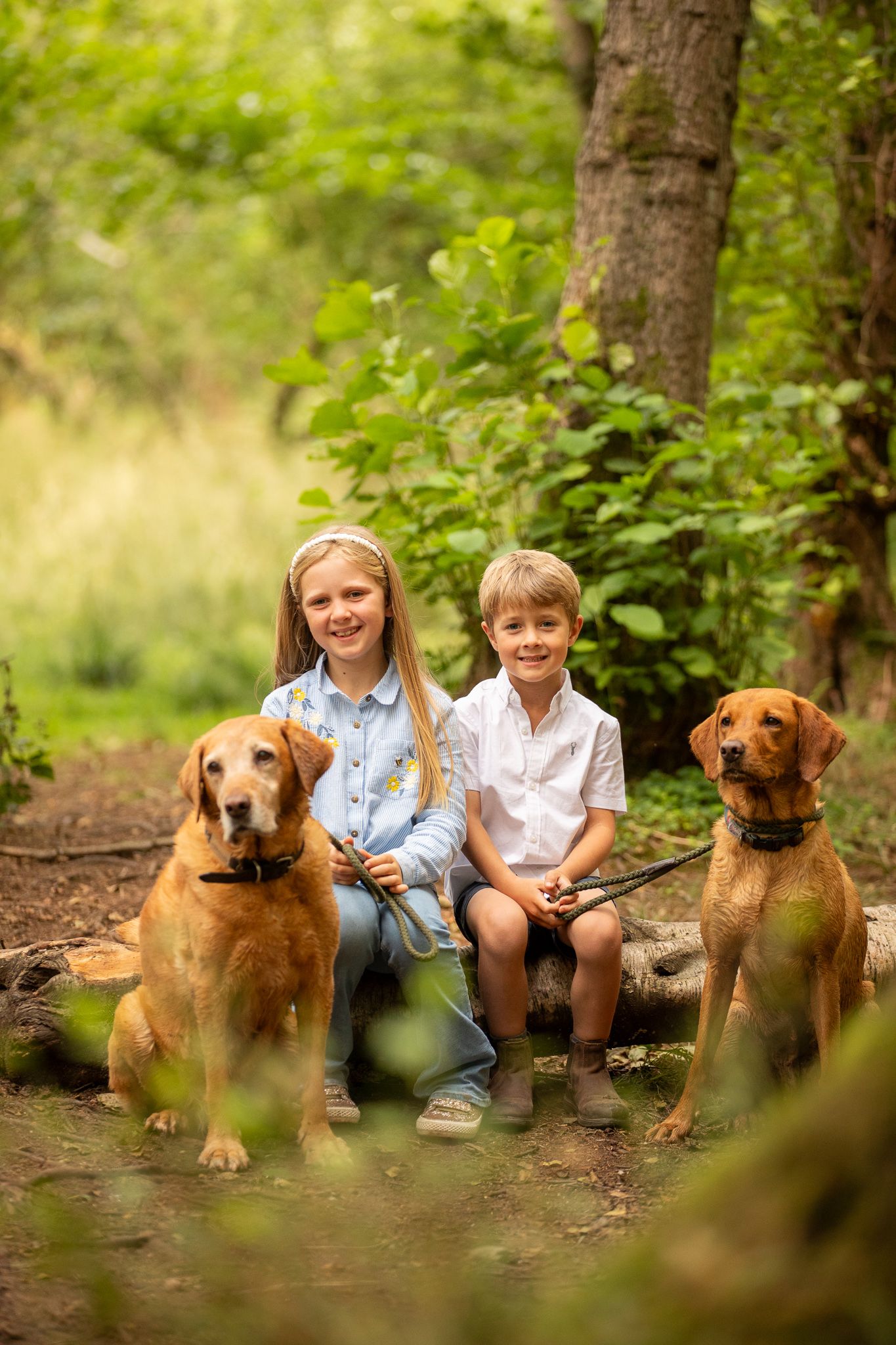Two children sit on a forest path with three friendly brown dogs in a natural outdoor setting.