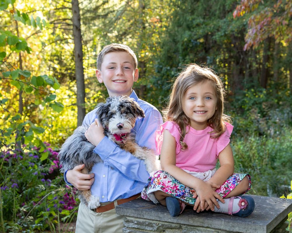 Siblings & their fluffy black and white dog pose together on stone pillar h in a sunlit outdoor setting during family photography session.