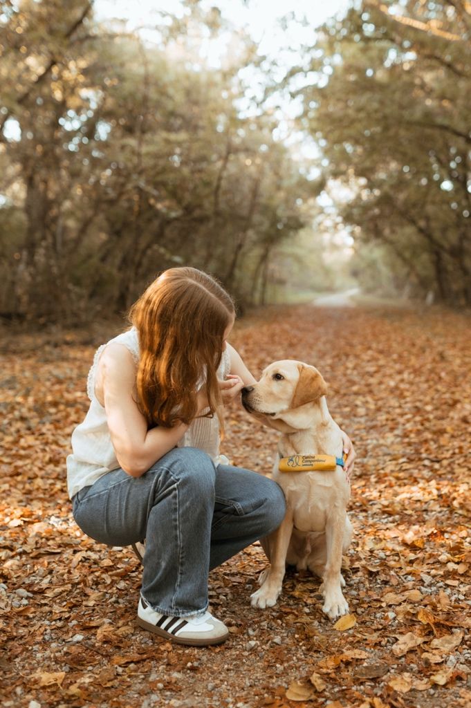 A person in jeans crouches down to interact with a light-colored puppy among scattered autumn leaves in a wooded setting.