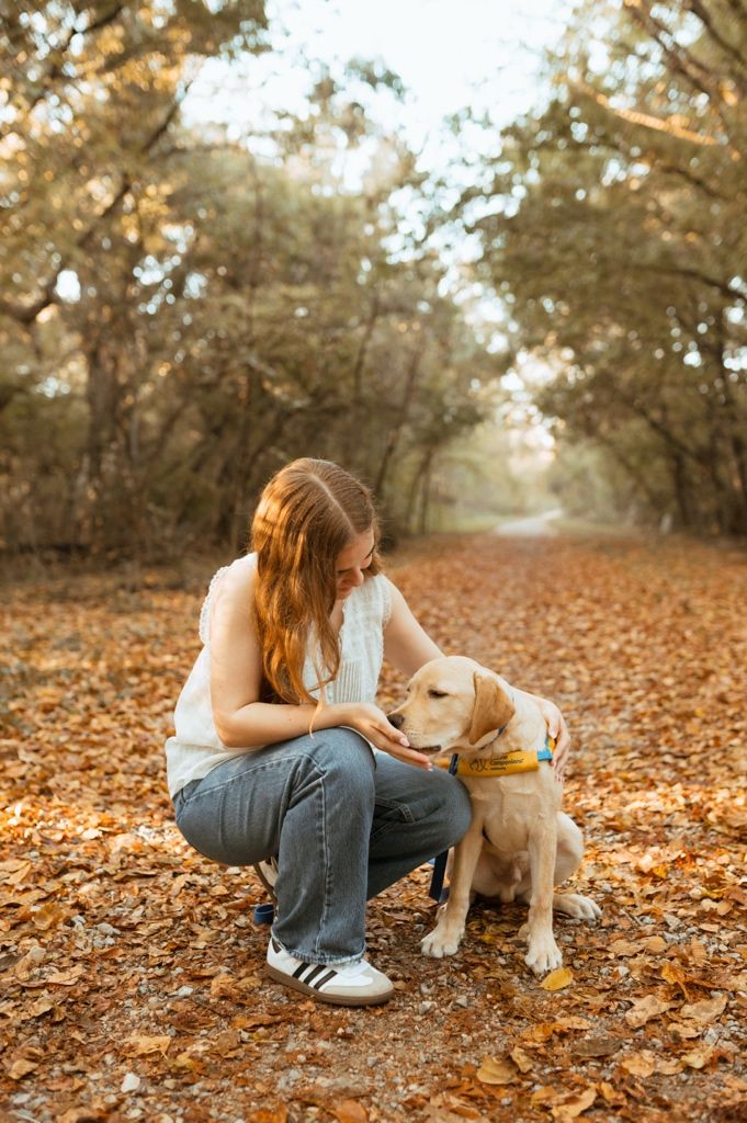 Person sitting with golden retriever puppy on autumn leaves in a warm sunset light.