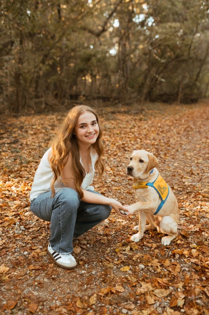 Woman in jeans and white top plays with yellow lab puppy in autumn leaves.
