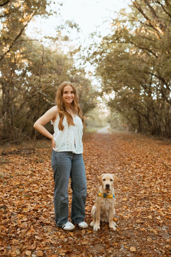 A dog sits among fallen autumn leaves on a tree-lined path during golden hour.